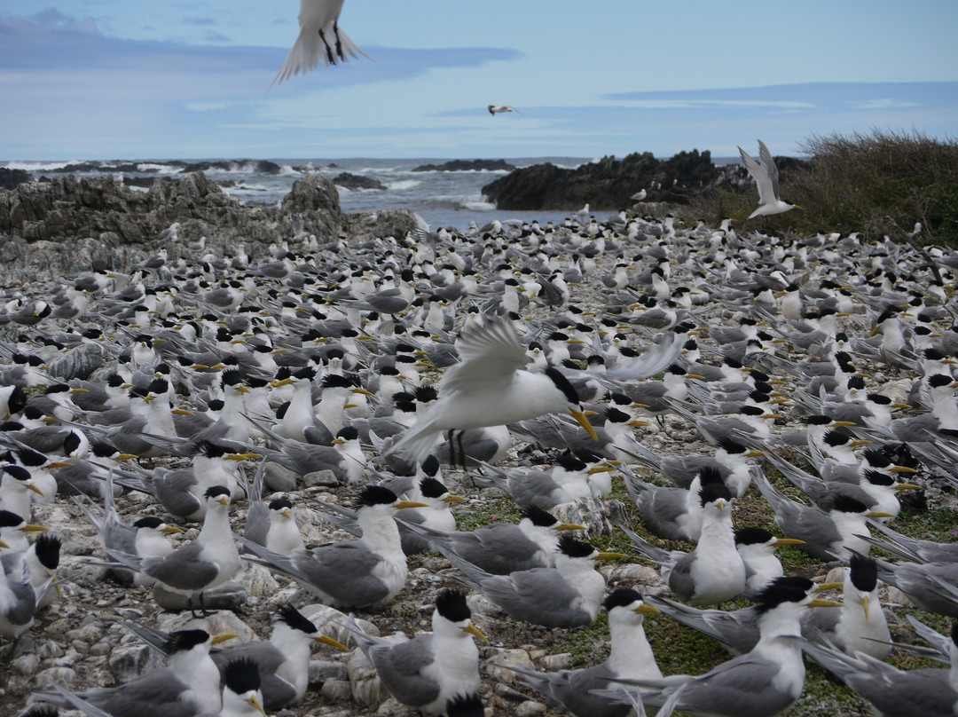 King Island Tours-King Island必去景点