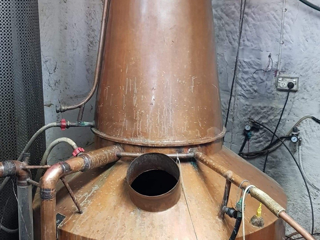 Belgrove Distillery-Kempton必去景点