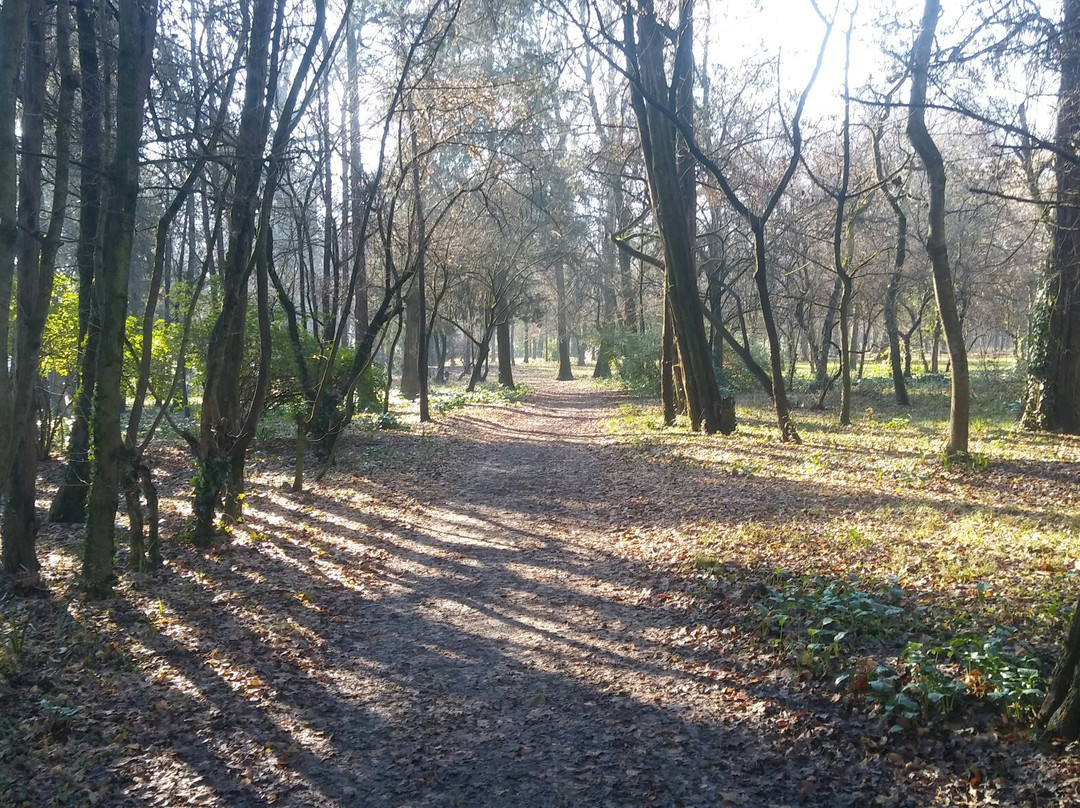 Parco Pubblico "M.A. Centanini"-Stanghella必去景点