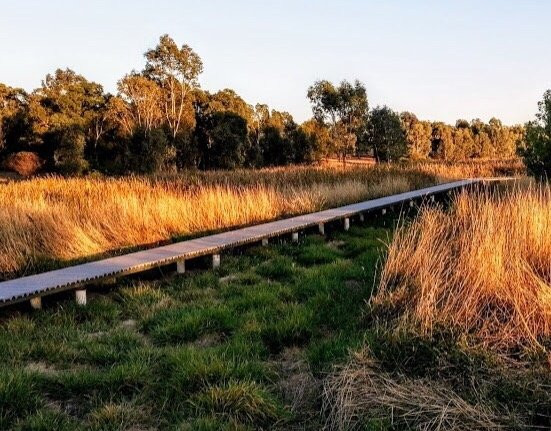 Junee Urban Wetland景点图片