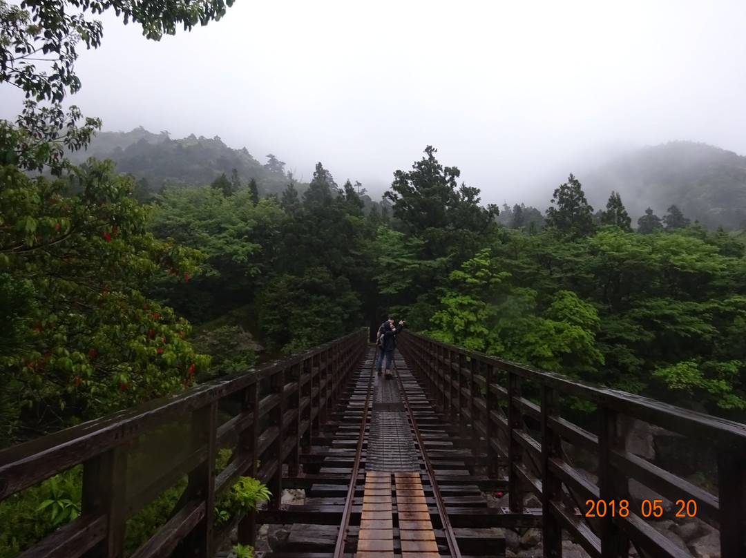 Kosugidani Bridge-屋久岛町必去景点