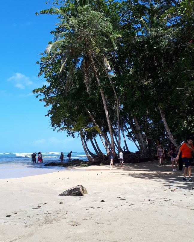 Playa Manzanillo景点图片