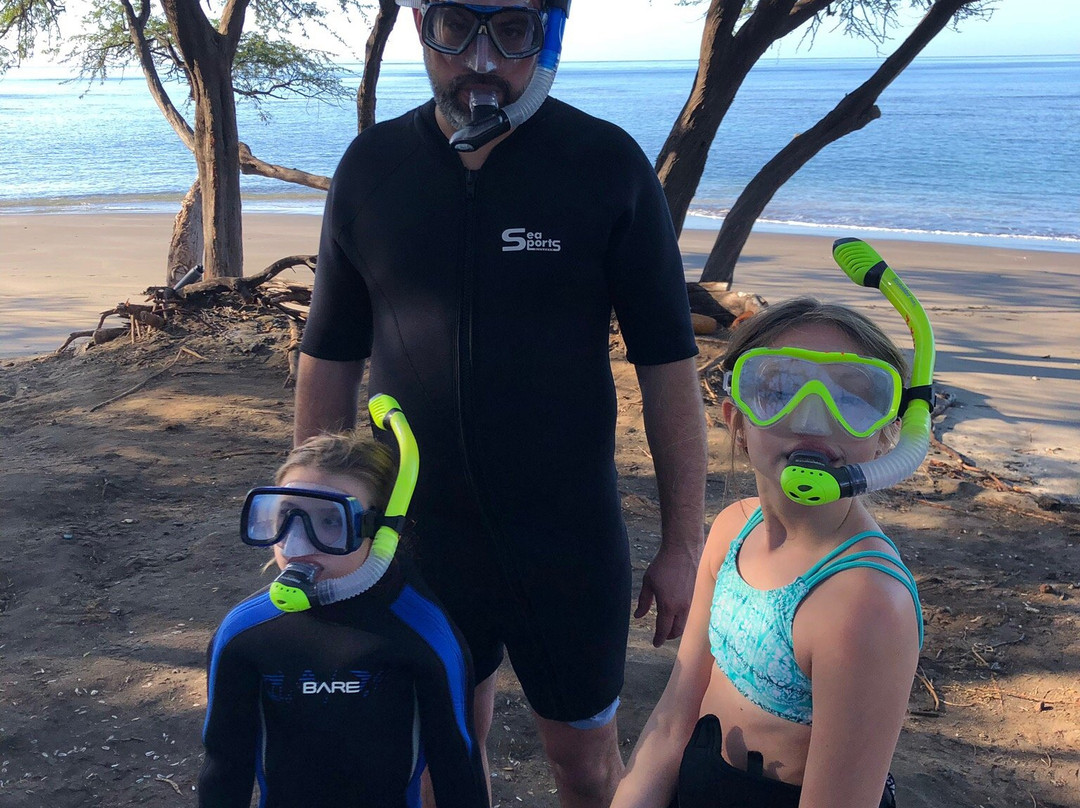 Maui Snorkel Tours景点图片