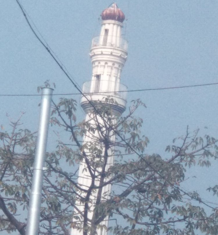 Shaheed Minar景点图片