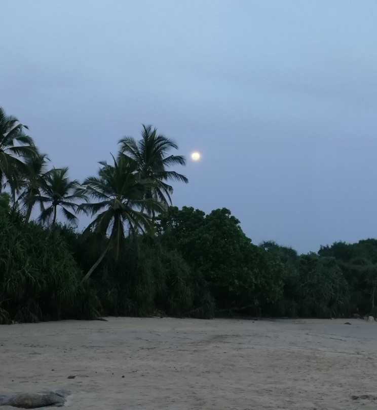Mawella Beach-唐卡拉必去景点
