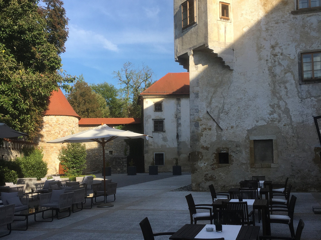Hotel Grad Otocec Relais & Châteaux主图