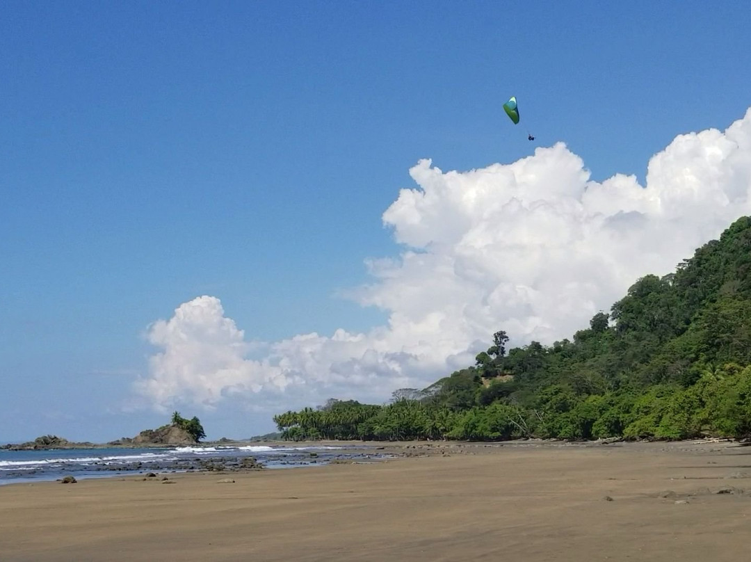 Paraglide Dominical with Hawk Adventures景点图片