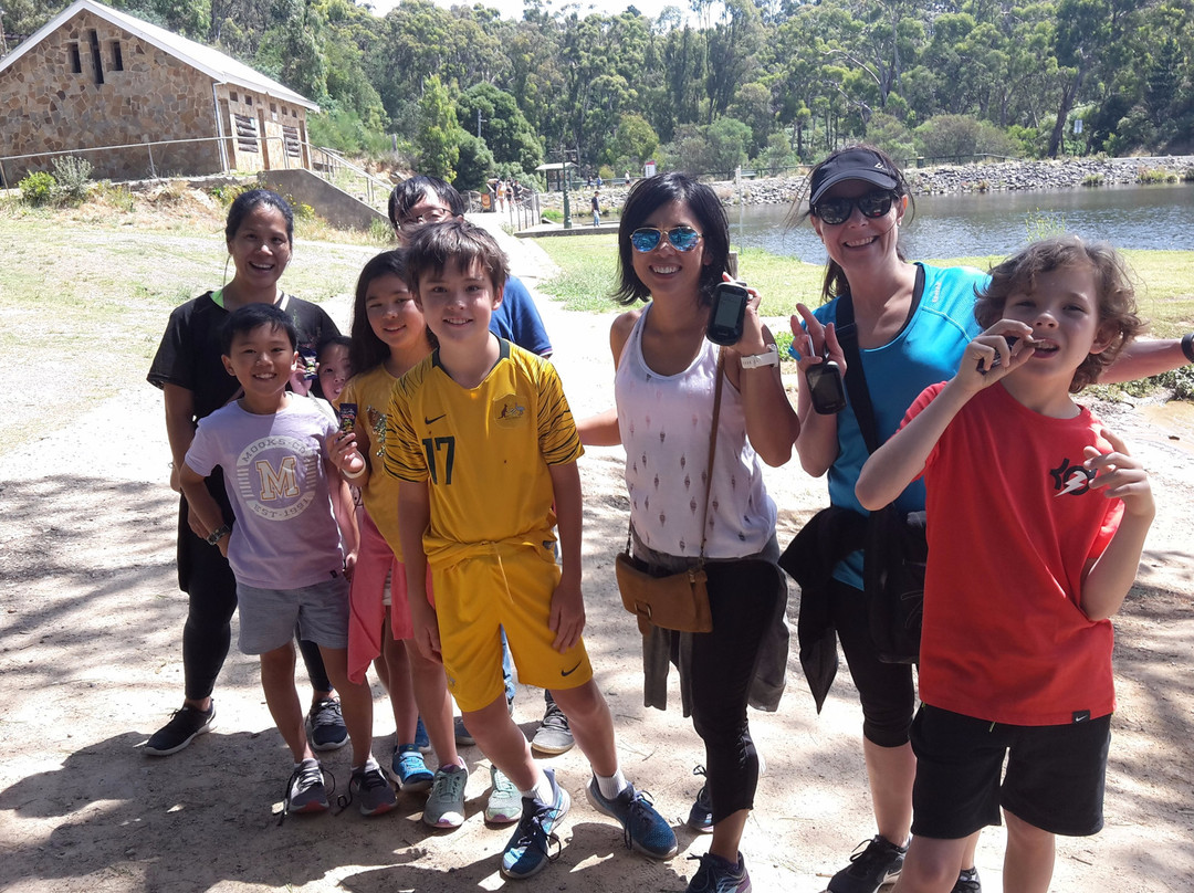 Secret Forest Walks-戴尔斯福特必去景点