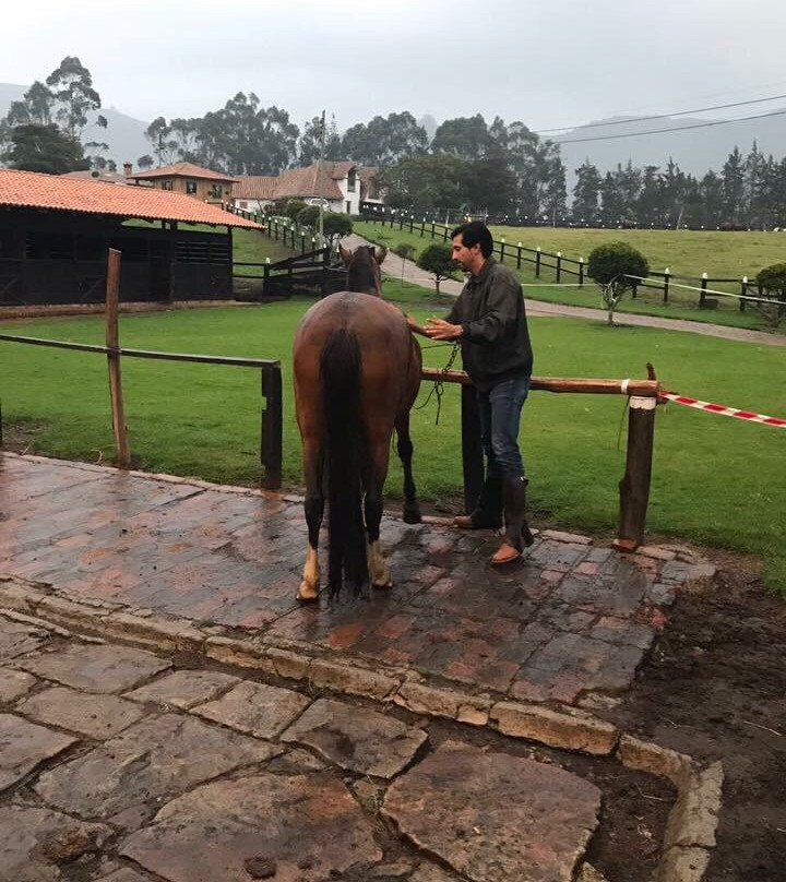 La Isabela Ecuestre景点图片