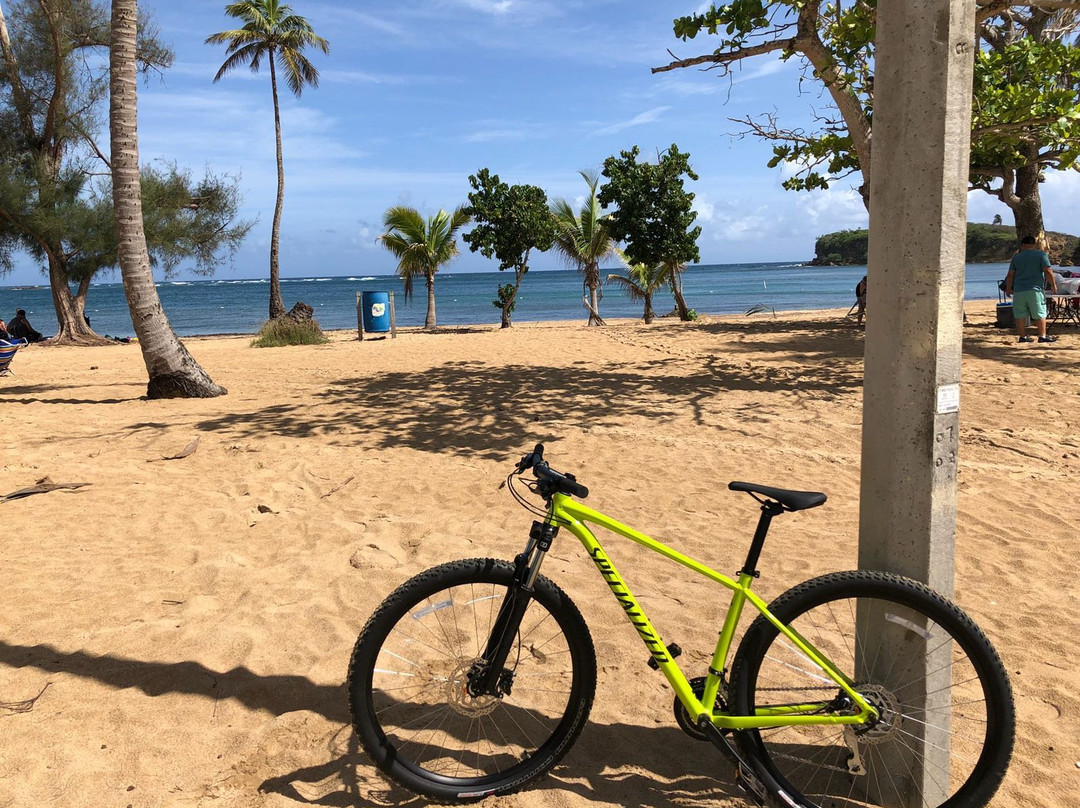 Paseo Lineal-Isabela必去景点