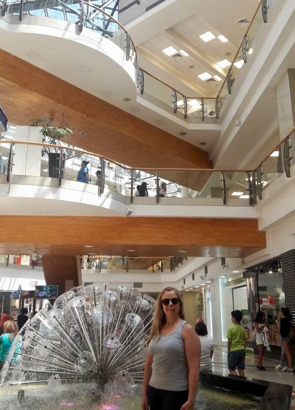 Mall Plaza de Los Rios-瓦尔迪维亚必去景点