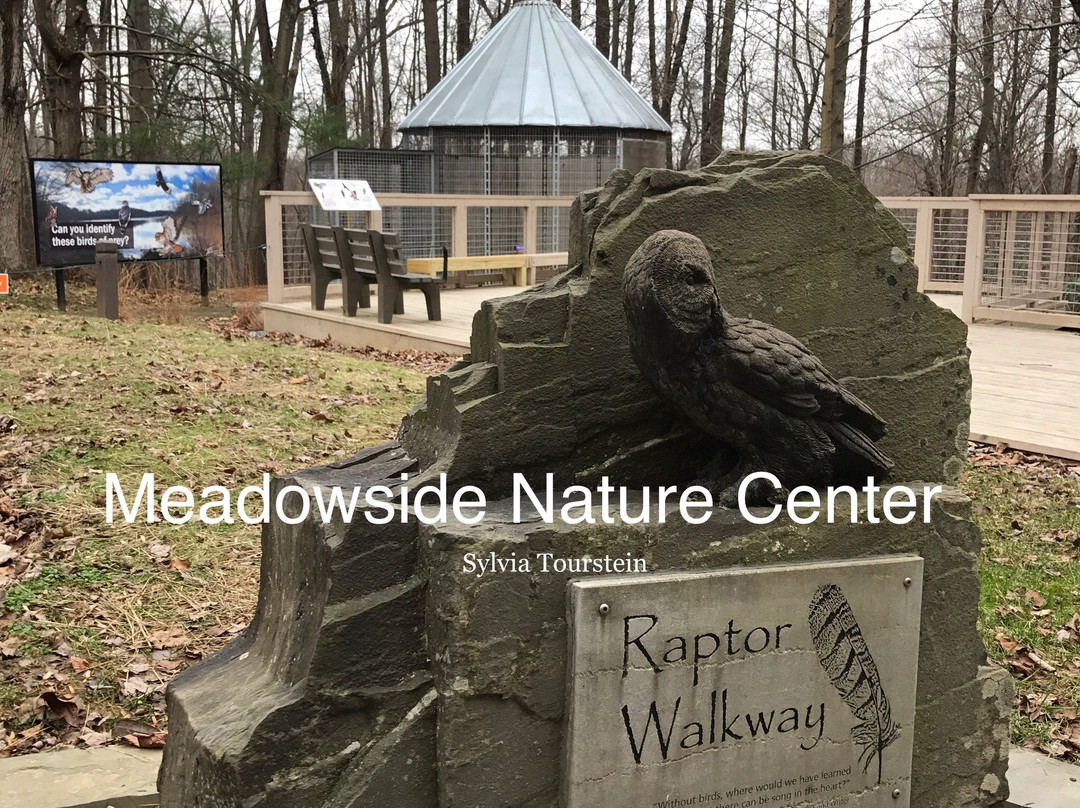 Meadowside Nature Center景点图片
