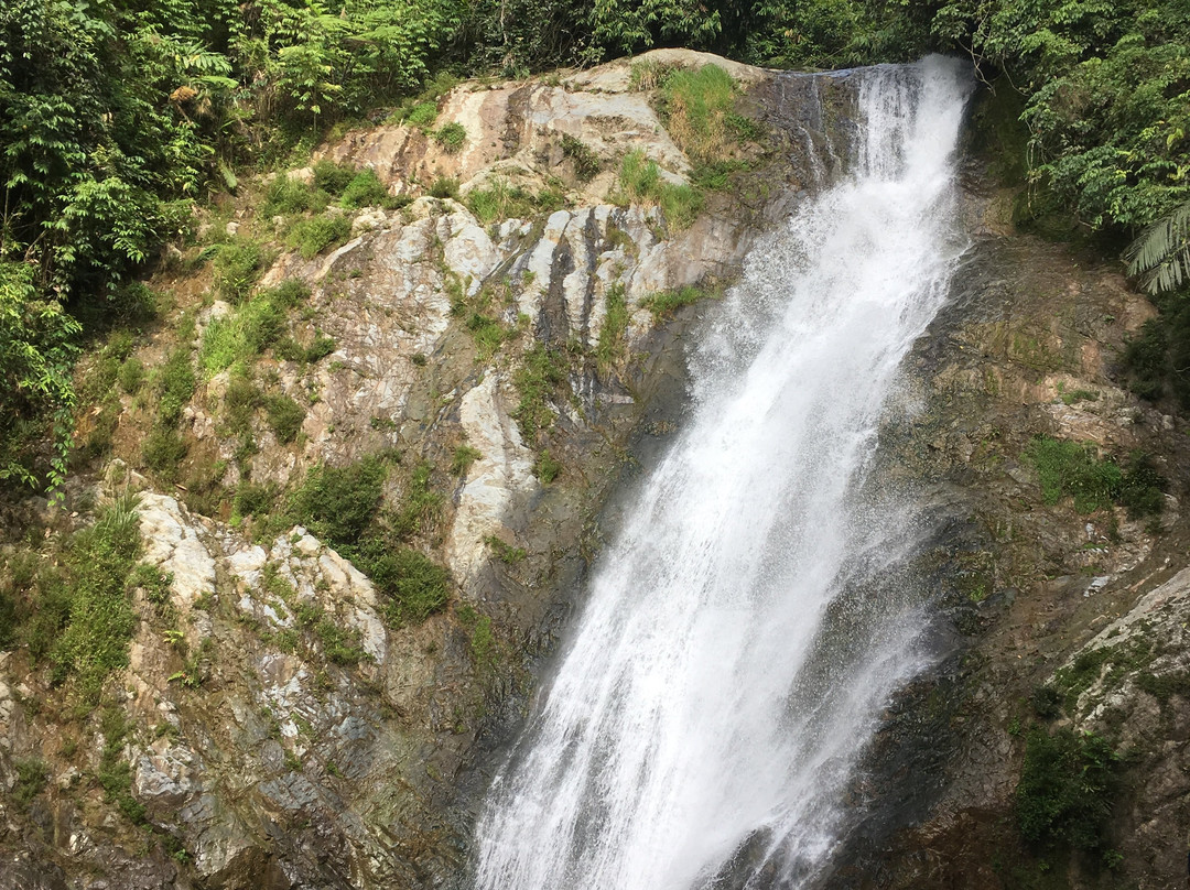 Tanglir Falls景点图片
