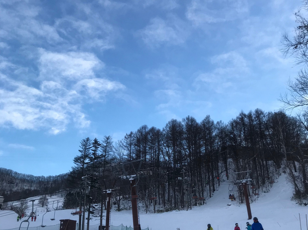 Sapporo Bankei Ski Area景点图片
