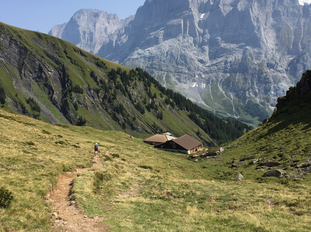 Wanderung Bussalp - Bort-格林德瓦必去景点
