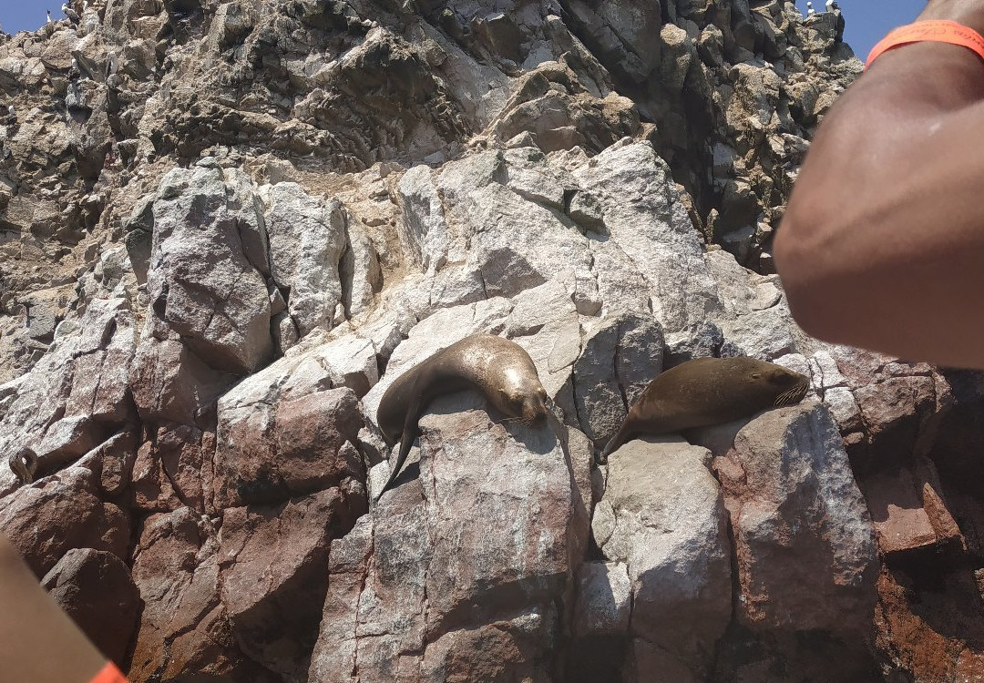 Viajes Ica- Day Tours-Huacachina必去景点