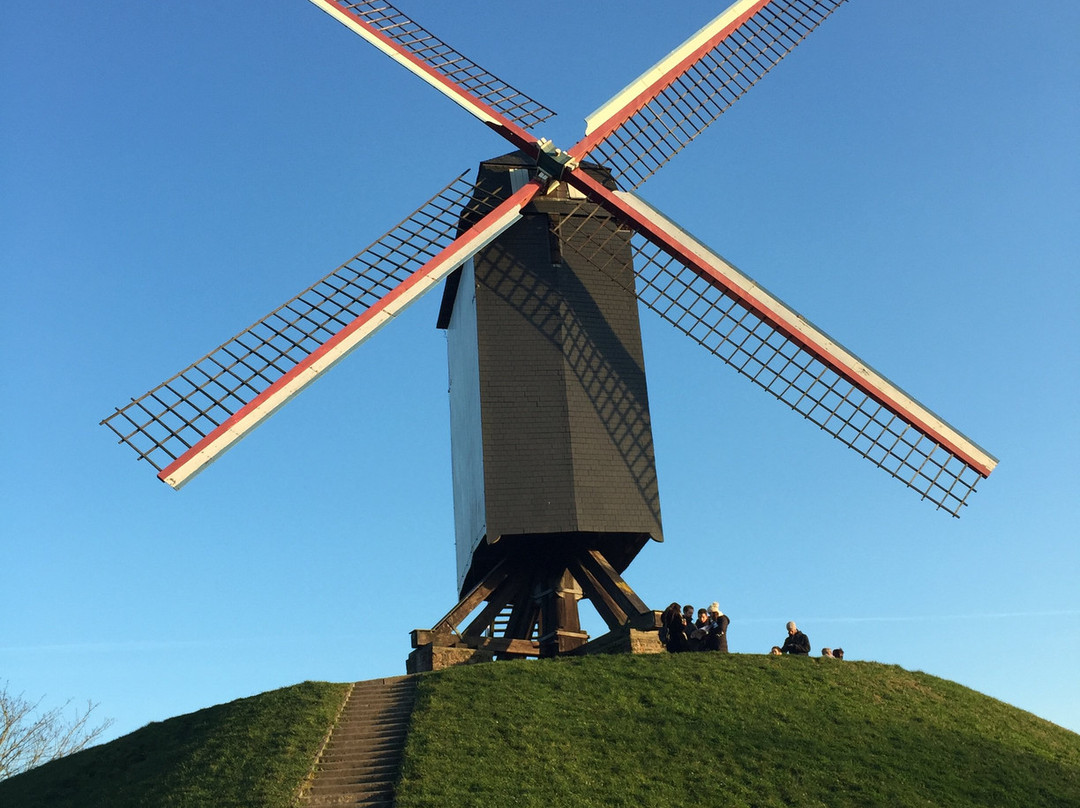 Windmills of Bruges景点图片