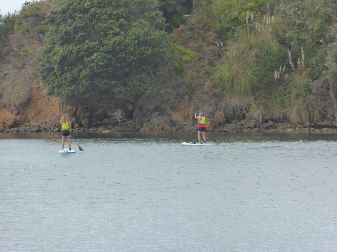 Paddles & Saddles景点图片