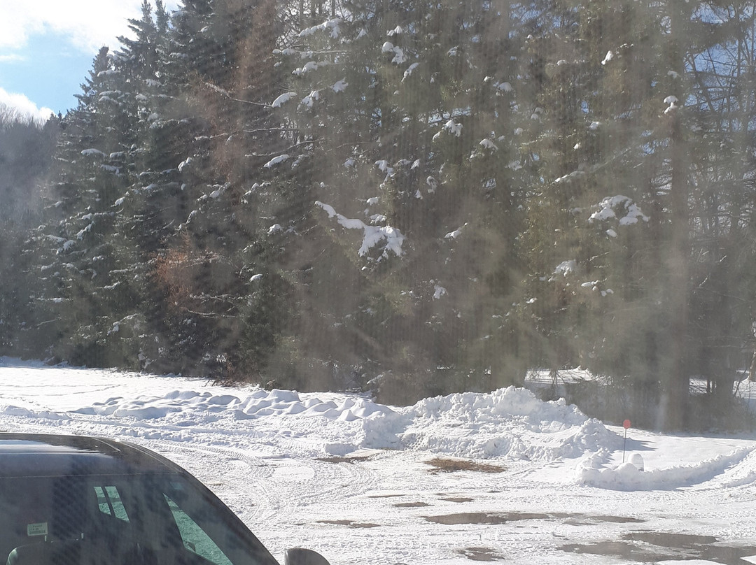 Motel de la Riviere主图