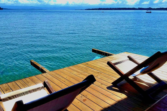 Old Bank酒店住宿-The Sea Monkey