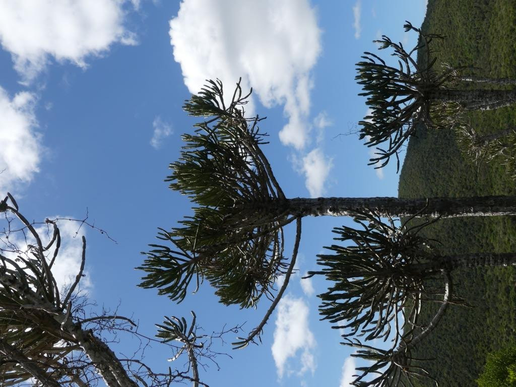 Kariega Game Reserve-Settlers Drift主图