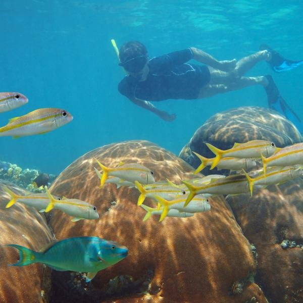 Tour Planners Lanka (Pvt) Ltd.-拉非尼亚山必去景点