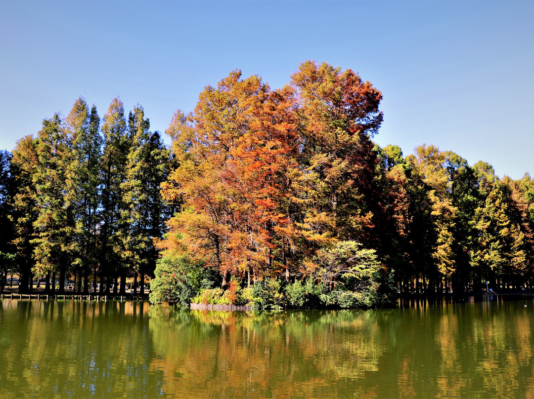 Besshonuma Park景点图片