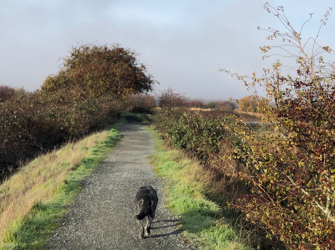 Boundary Bay Regional Park景点图片
