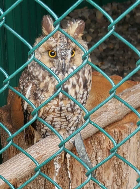 Wild Wings-Honeoye Falls必去景点