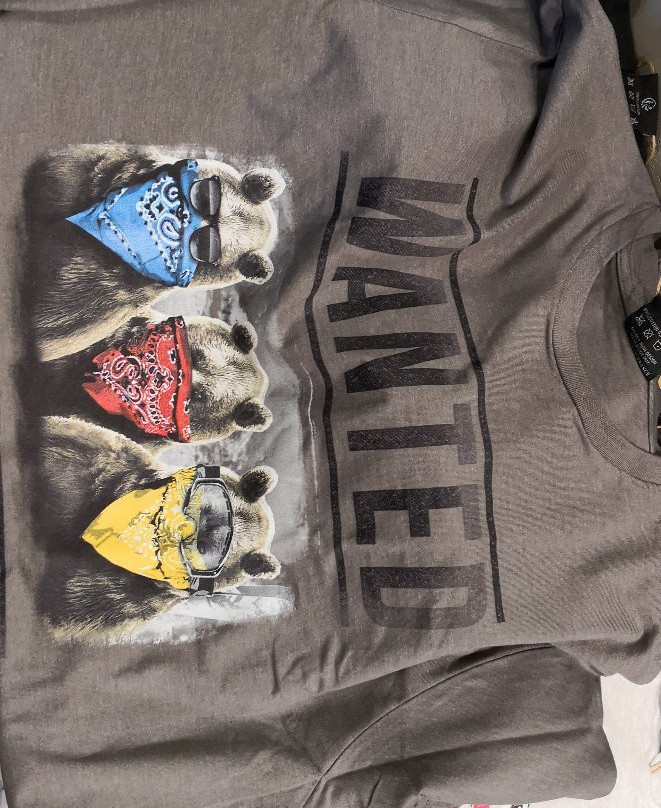 Cesar Sport Alpin-萨斯费必去景点