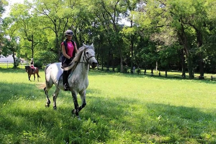 Hotel Miznah Resort主图