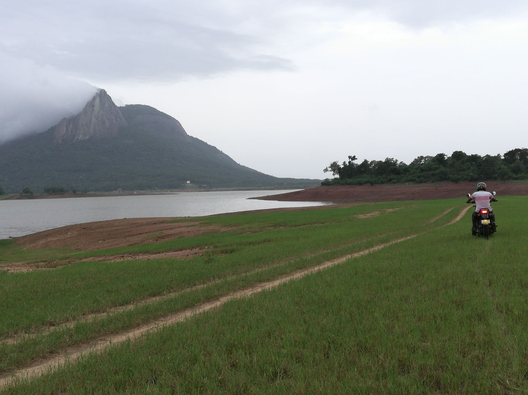 Kanjirapuzha Dam景点图片