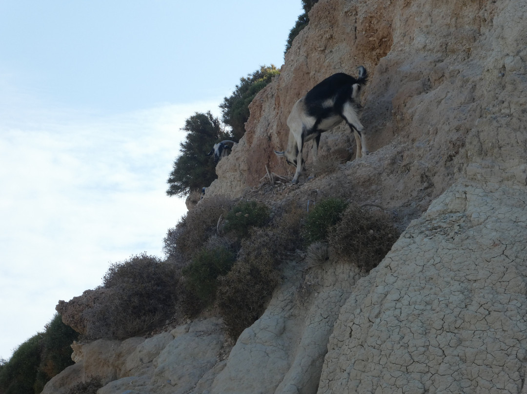 Pontoria Stegna Studios主图