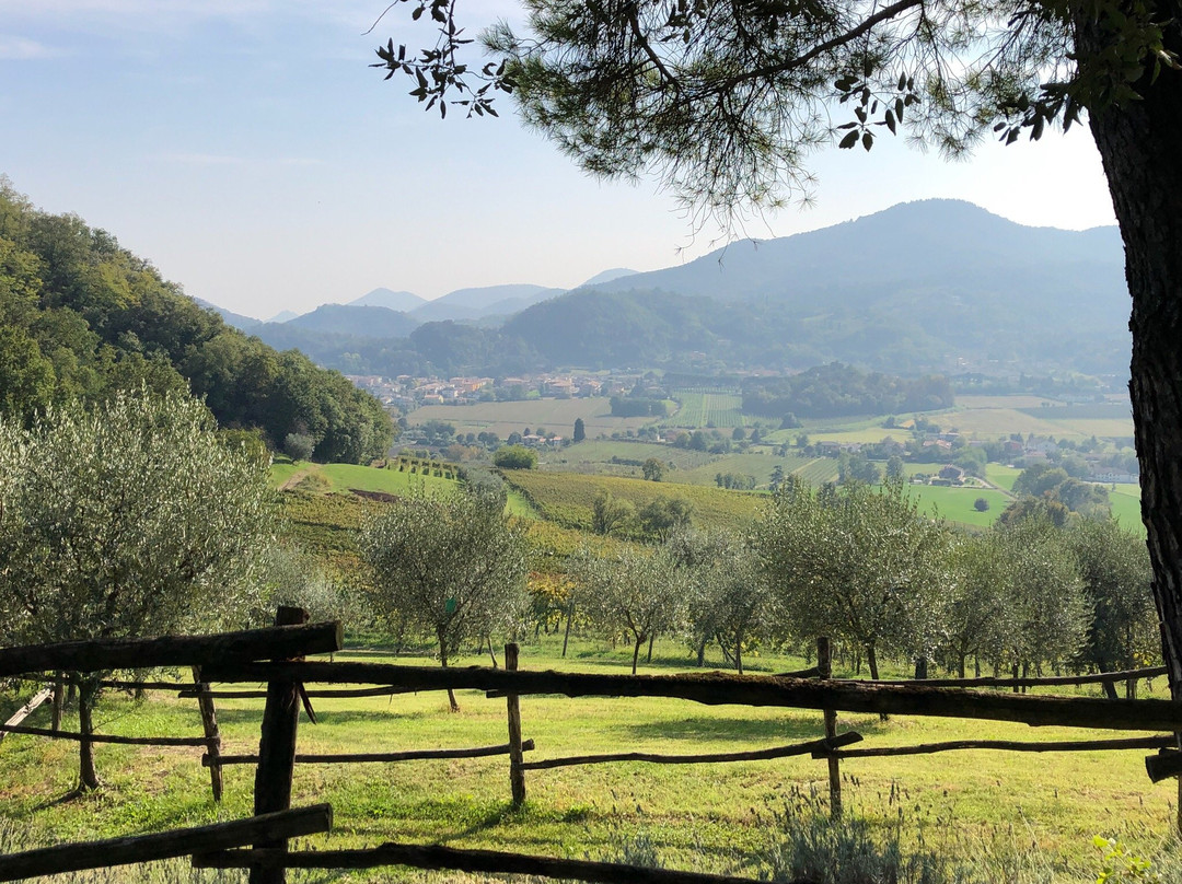 El Sendero - Wine Tours & Outdoor Adventures景点图片