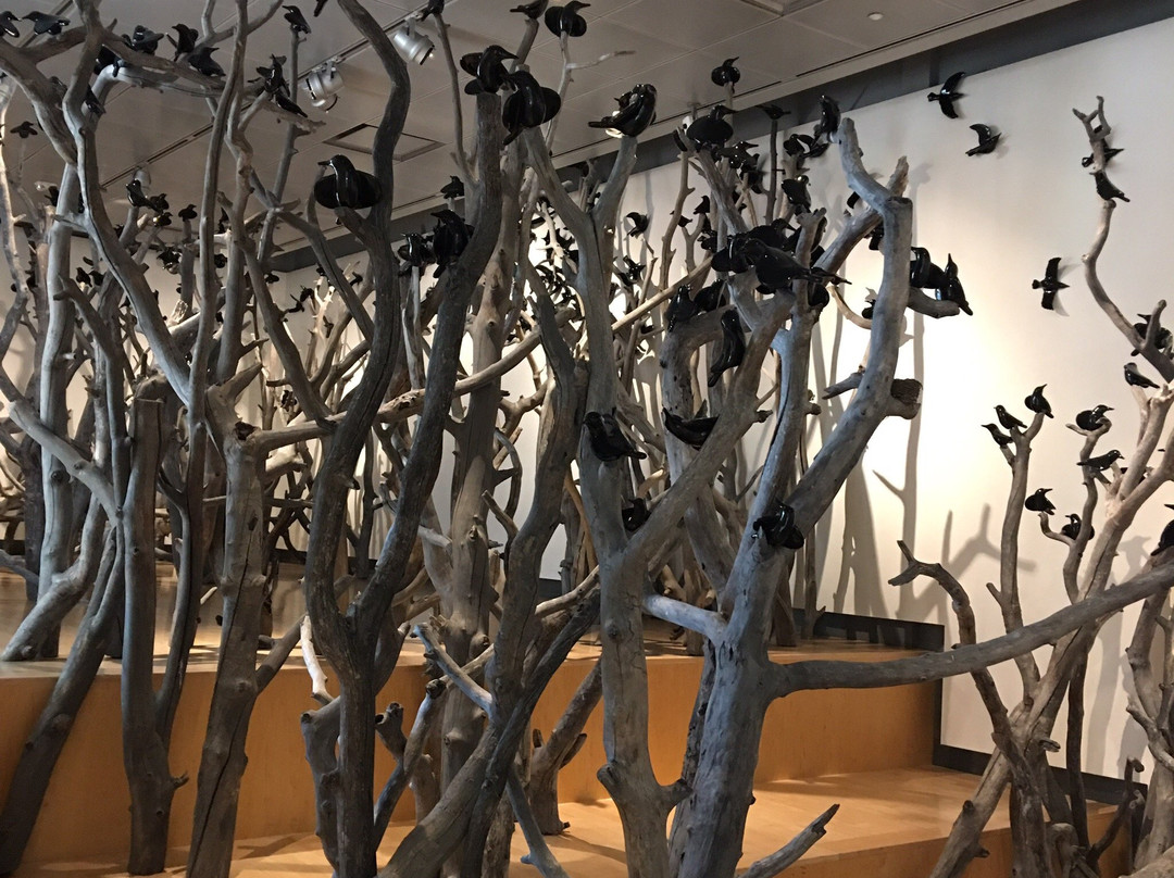 Missoula Art Museum-米苏拉必去景点