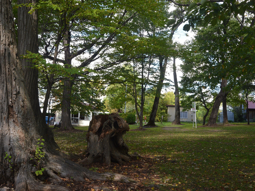 Torinuma Park-富良野市必去景点