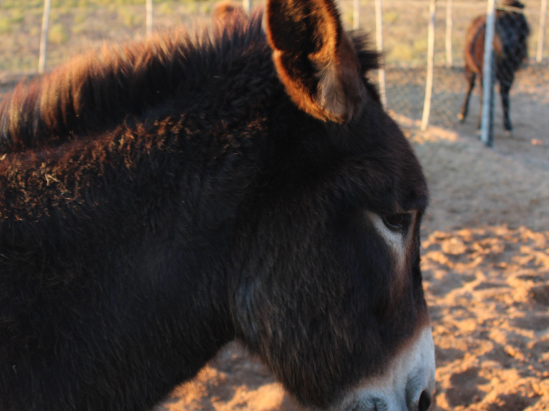 Hananja Lodge and Restaurant主图