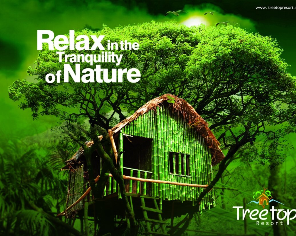 Tree Top Resort-官方