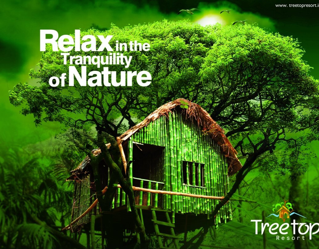 Mannarkkad酒店住宿-Tree Top Resort