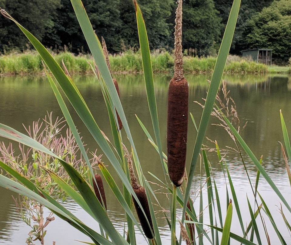 Barlow Lakes-Barlow必去景点