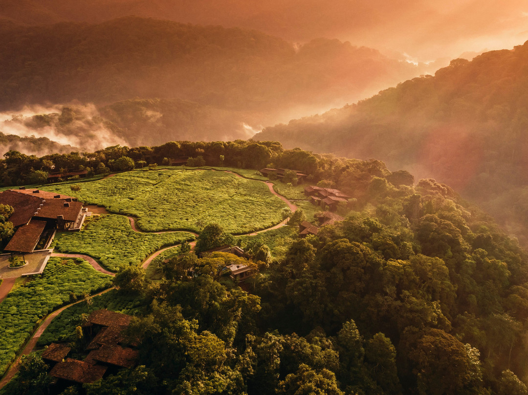 One & Only Nyungwe House主图