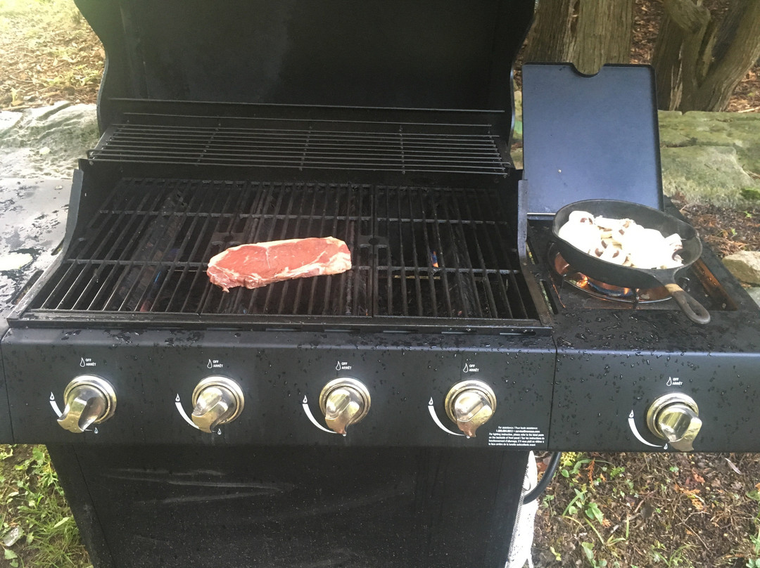 Adventure the Bruce Inn主图