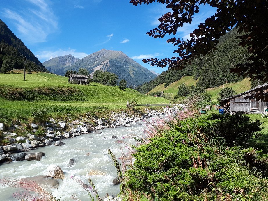 Pension Adlerhorst-浴室