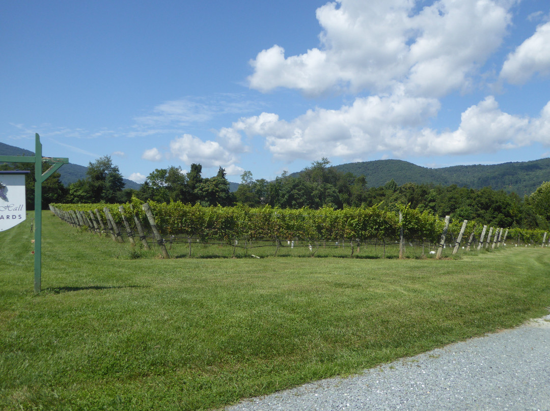 White Hall Vineyards-Crozet必去景点