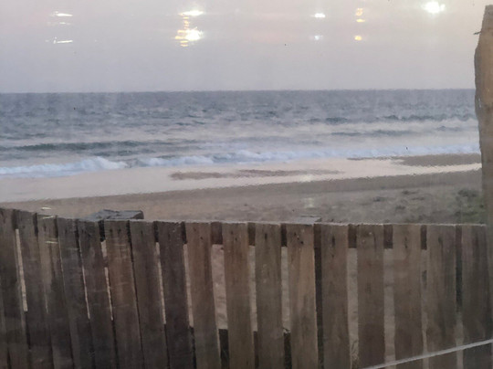 El Patio Andalú主图