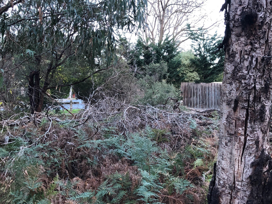 George Street Reserve-Sandringham必去景点