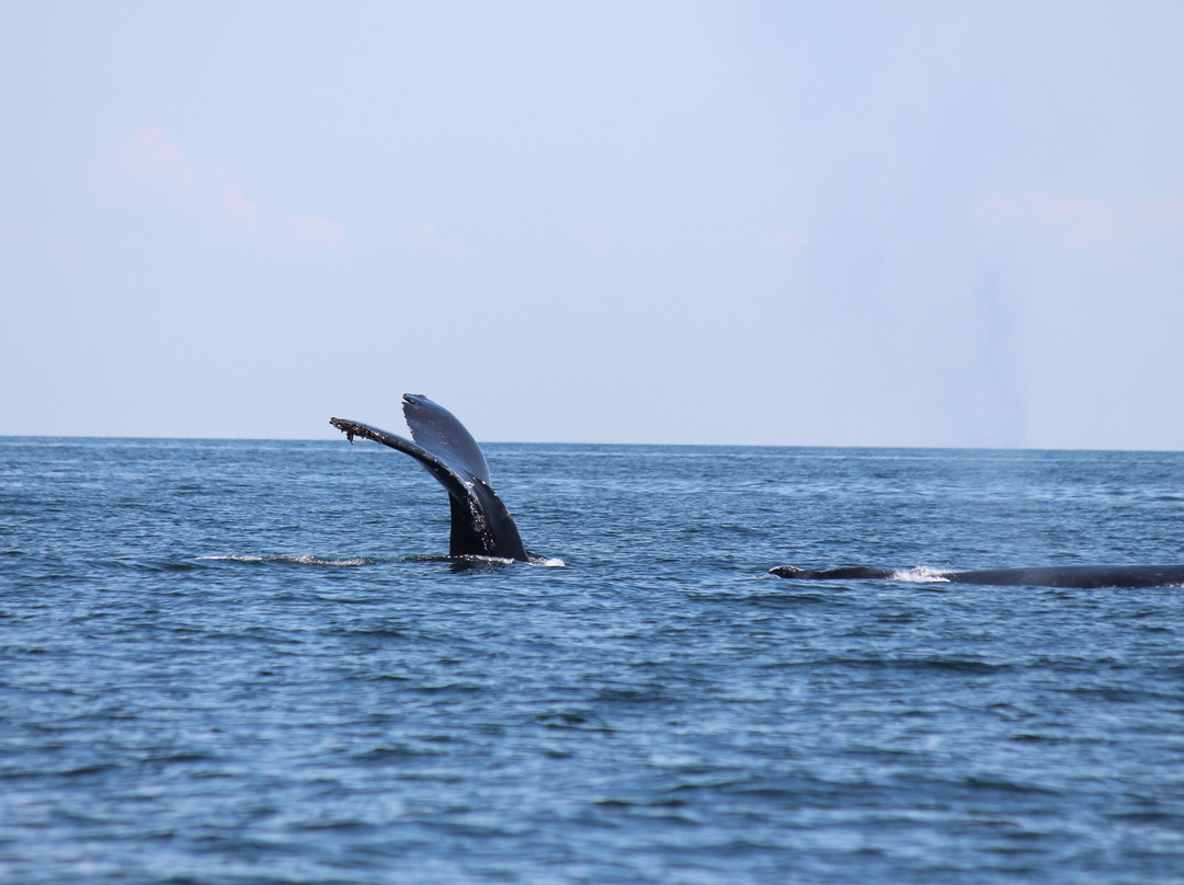 Crystal's View Vancouver Bed and Breakfast主图