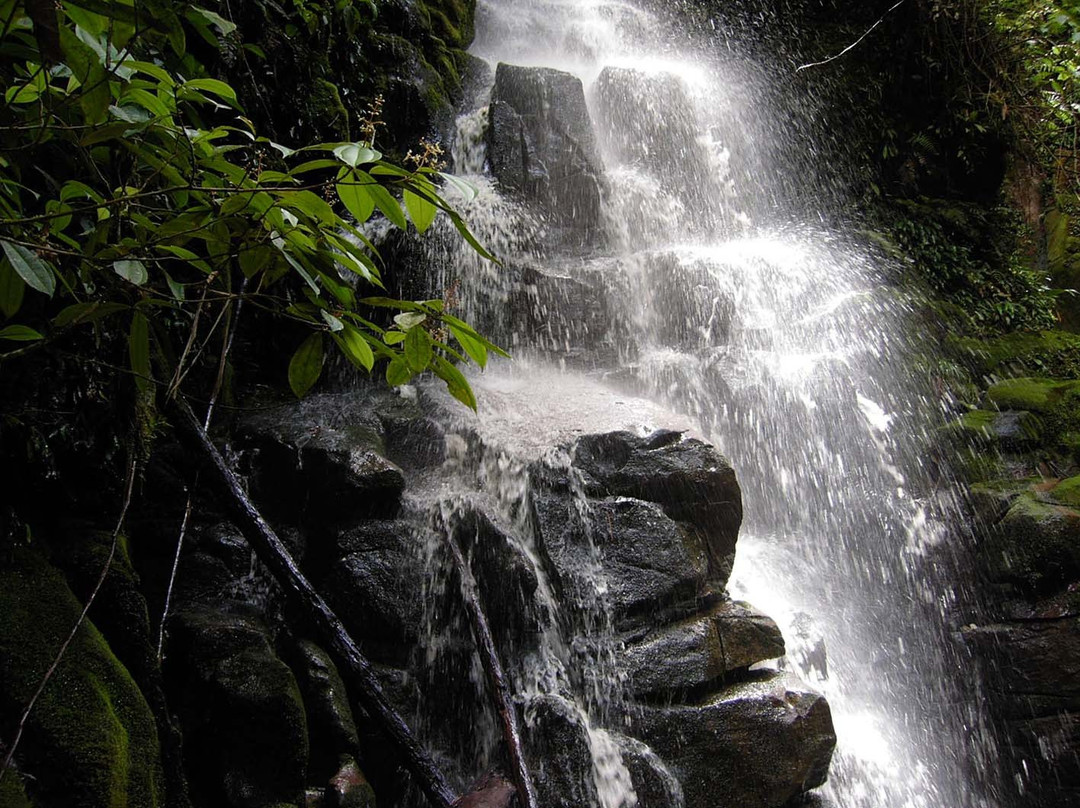 Nangaritza River-Zamora-Chinchipe Province必去景点