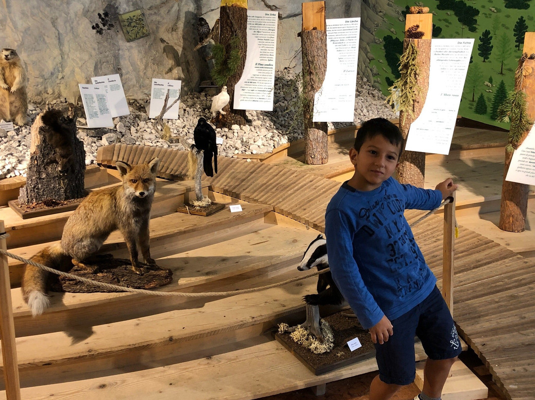 Centro Visite Dei Parchi Naturali景点图片