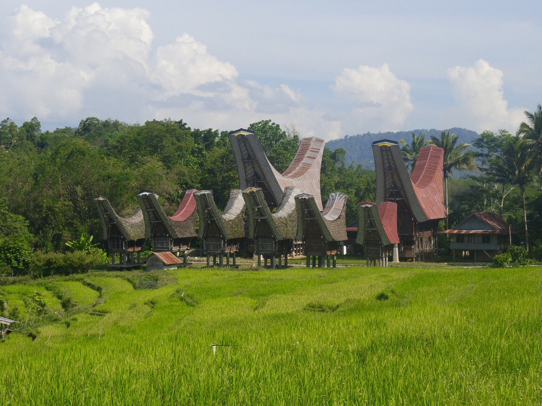 Sulawesi Culture and Nature Tour景点图片